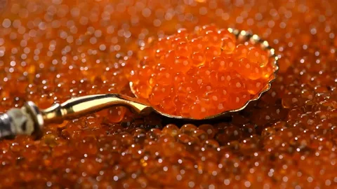 تصویر 4 از خاویار قزل آلا رنگ طبیعی کیفیت ممتاز روزچین